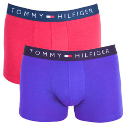 2PACK pánské boxerky Tommy Hilfiger vícebarevné (UM0UM00368 084)