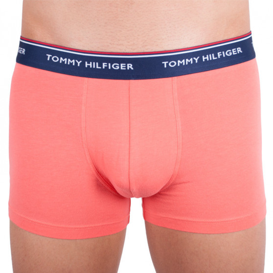 3PACK pánské boxerky Tommy Hilfiger vícebarevné (1U87903842 424)