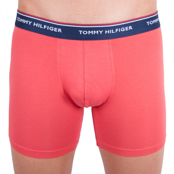 3PACK pánské boxerky Tommy Hilfiger vícebarevné (UM0UM00010 639)