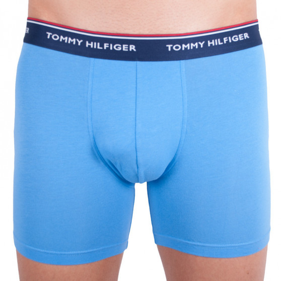 3PACK pánské boxerky Tommy Hilfiger vícebarevné (UM0UM00010 639)