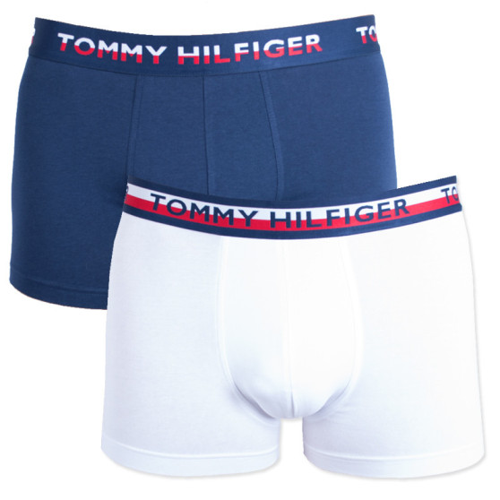 2PACK pánské boxerky Tommy Hilfiger vícebarevné (UM0UM00746 222)
