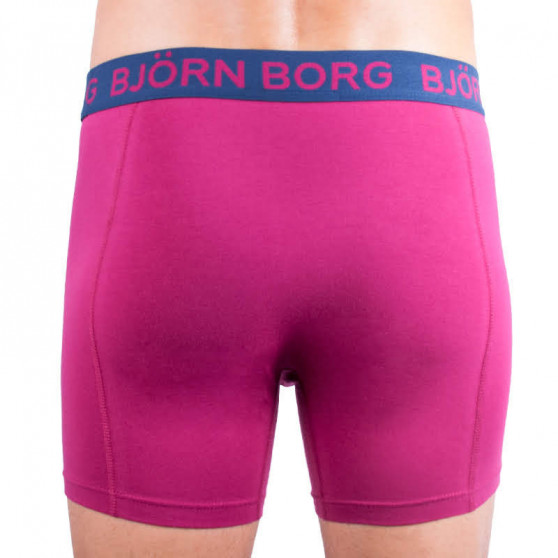 2PACK pánské boxerky Bjorn Borg vícebarevné (1831-1283-40501)