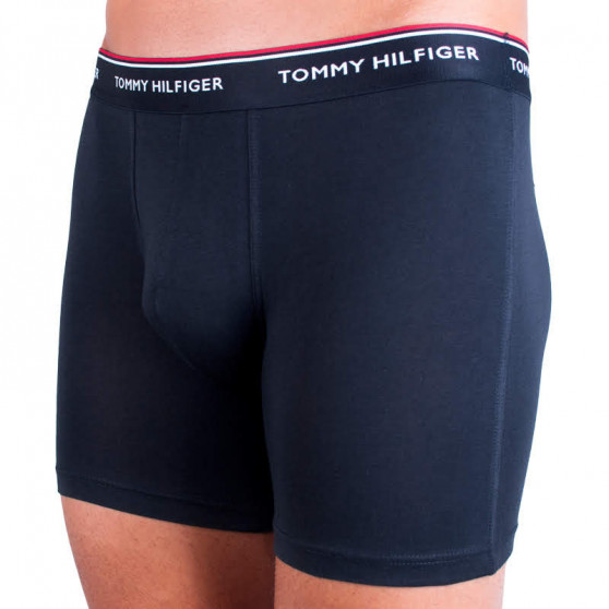 3PACK pánské boxerky Tommy Hilfiger vícebarevné (UM0UM00010 004)