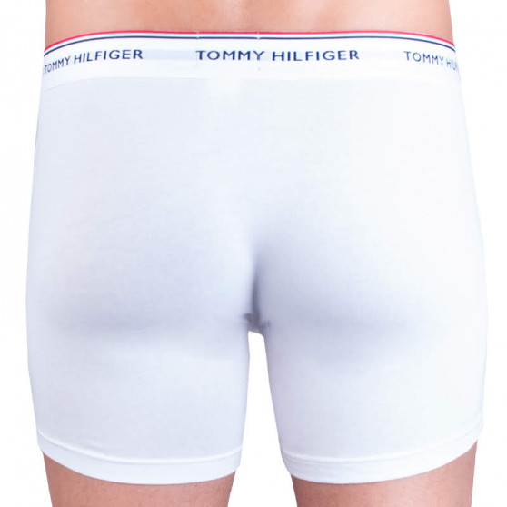 3PACK pánské boxerky Tommy Hilfiger vícebarevné (UM0UM00010 004)