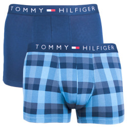 2PACK pánské boxerky Tommy Hilfiger vícebarevné (UM0UM00936 001)