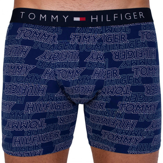 2PACK pánské boxerky Tommy Hilfiger vícebarevné (UM0UM00940 066)