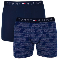 2PACK pánské boxerky Tommy Hilfiger vícebarevné (UM0UM00940 066)