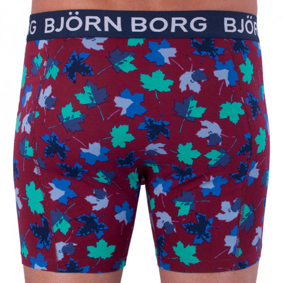 2PACK pánské boxerky Bjorn Borg vícebarevné (1841-1204-40501)