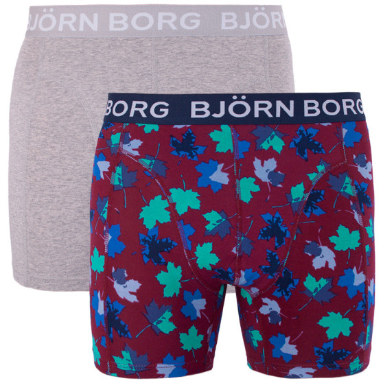 2PACK pánské boxerky Bjorn Borg vícebarevné (1841-1204-40501)