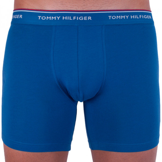 3PACK pánské boxerky Tommy Hilfiger vícebarevné (UM0UM00010 071)