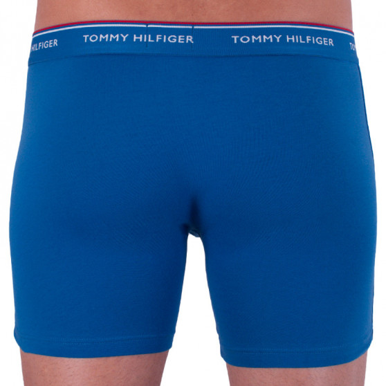 3PACK pánské boxerky Tommy Hilfiger vícebarevné (UM0UM00010 071)