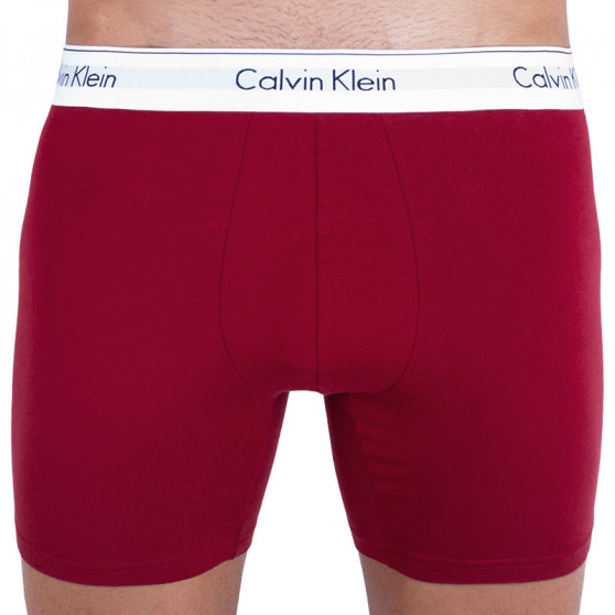 2PACK pánské boxerky Calvin Klein vícebarevné (NB1087A-LKQ)