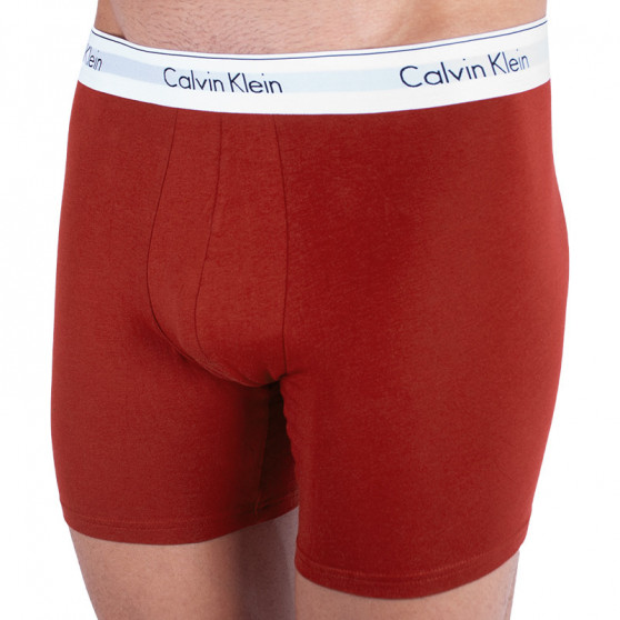 2PACK pánské boxerky Calvin Klein vícebarevné (NB1087A-YRP)