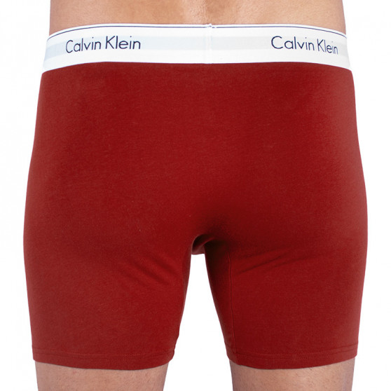 2PACK pánské boxerky Calvin Klein vícebarevné (NB1087A-YRP)