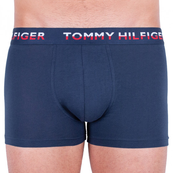 2PACK pánské boxerky Tommy Hilfiger vícebarevné (UM0UM01233 054)