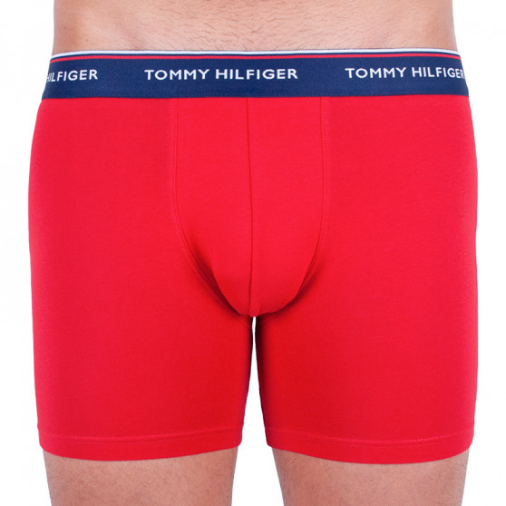 3PACK pánské boxerky Tommy Hilfiger vícebarevné (UM0UM00010 052)