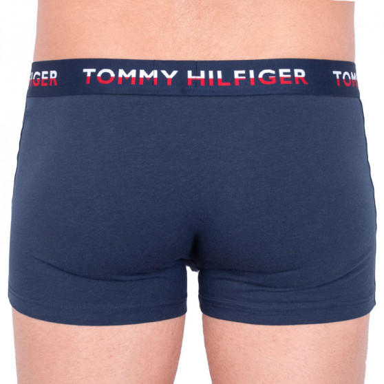 2PACK pánské boxerky Tommy Hilfiger vícebarevné (UM0UM00746 006)