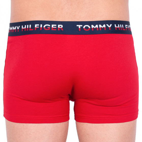 2PACK pánské boxerky Tommy Hilfiger vícebarevné (UM0UM01233 061)