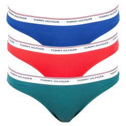 3PACK dámské kalhotky Tommy Hilfiger vícebarevné (UW0UW00043 034)