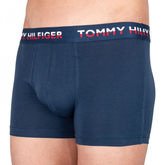 2PACK pánské boxerky Tommy Hilfiger vícebarevné (UM0UM01233 064)