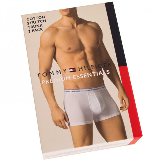 3PACK pánské boxerky Tommy Hilfiger vícebarevné nadrozměr (1U87905252 004)