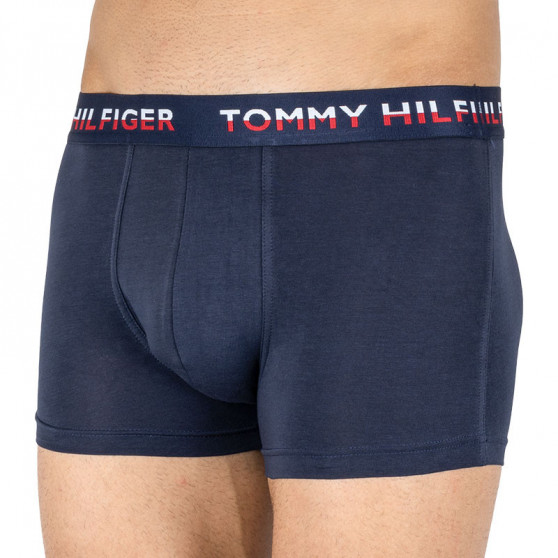 2PACK pánské boxerky Tommy Hilfiger vícebarevné (UM0UM01233 065)