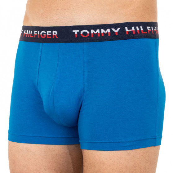2PACK pánské boxerky Tommy Hilfiger vícebarevné (UM0UM01233 014)