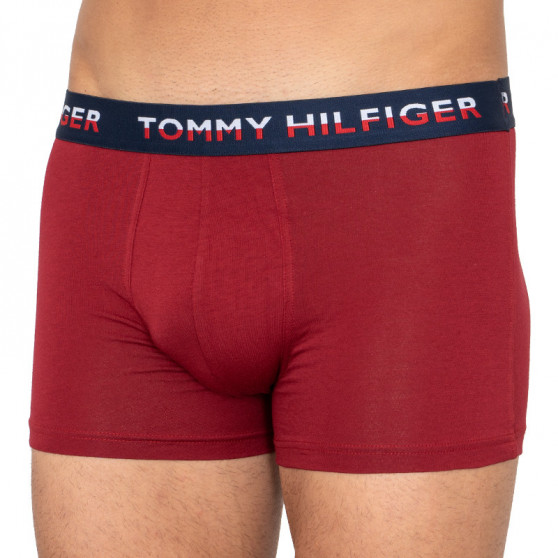 2PACK pánské boxerky Tommy Hilfiger vícebarevné (UM0UM01233 582)