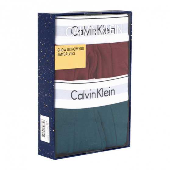 2PACK pánské boxerky Calvin Klein vícebarevné (NB1393A-FJN)