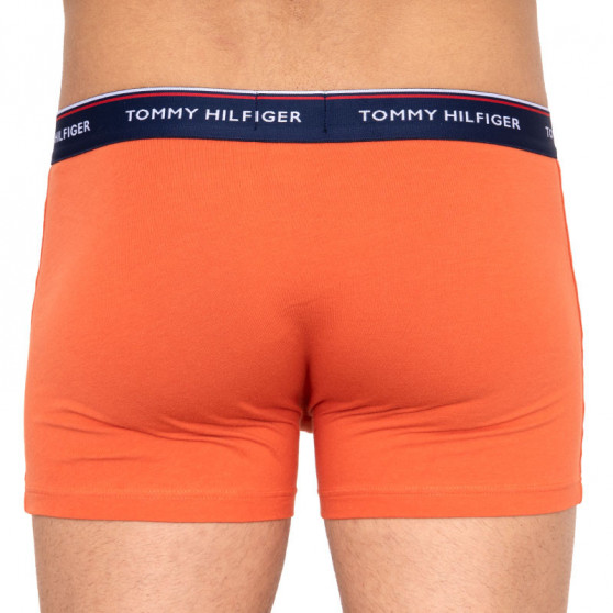 3PACK pánské boxerky Tommy Hilfiger vícebarevné (UM0UM00010 592)