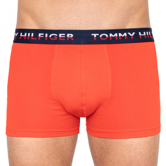 2PACK pánské boxerky Tommy Hilfiger vícebarevné (UM0UM01233 021)