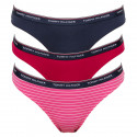 3PACK dámské kalhotky Tommy Hilfiger vícebarevné (UW0UW01607 080)