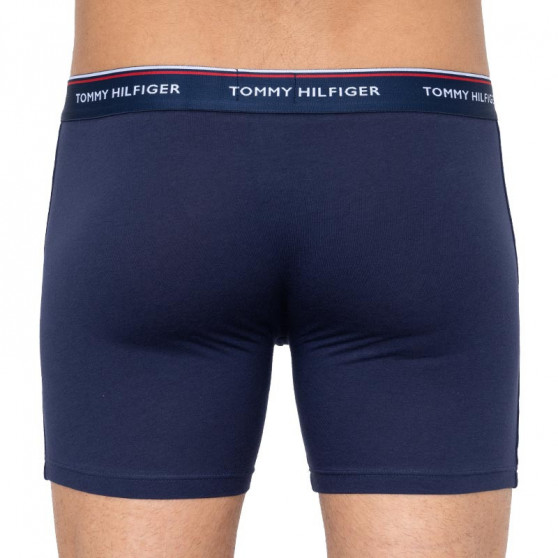 3PACK pánské boxerky Tommy Hilfiger vícebarevné (UM0UM00010 0XN)