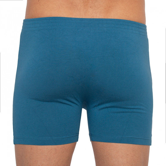 Pánské boxerky Andrie modré nadrozměr (PS 5260 C)