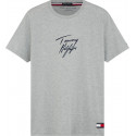 Pánské tričko Tommy Hilfiger šedé (UM0UM01787 P6S)