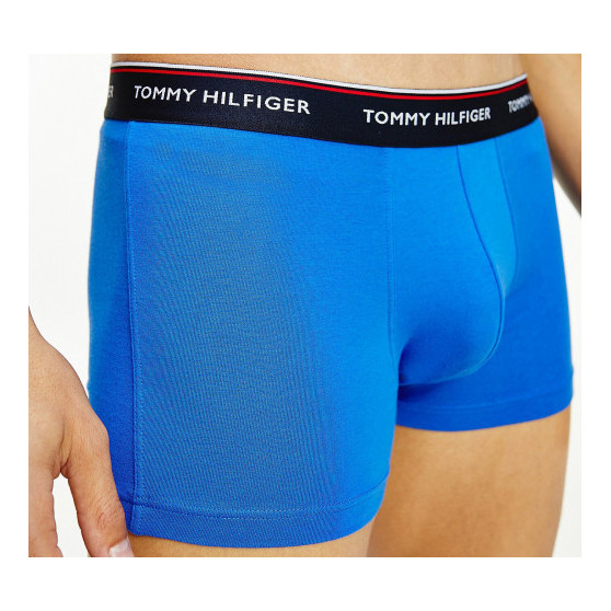 3PACK pánské boxerky Tommy Hilfiger vícebarevné (1U87903842 0T1)