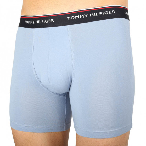 3PACK pánské boxerky Tommy Hilfiger vícebarevné (UM0UM00010 0WC)