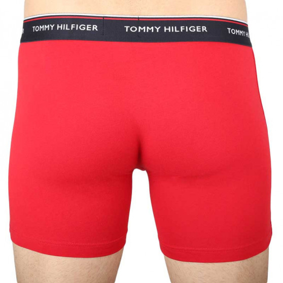 3PACK pánské boxerky Tommy Hilfiger vícebarevné (UM0UM00010 0WC)