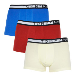 3PACK pánské boxerky Tommy Hilfiger vícebarevné (UM0UM02202 0W8)