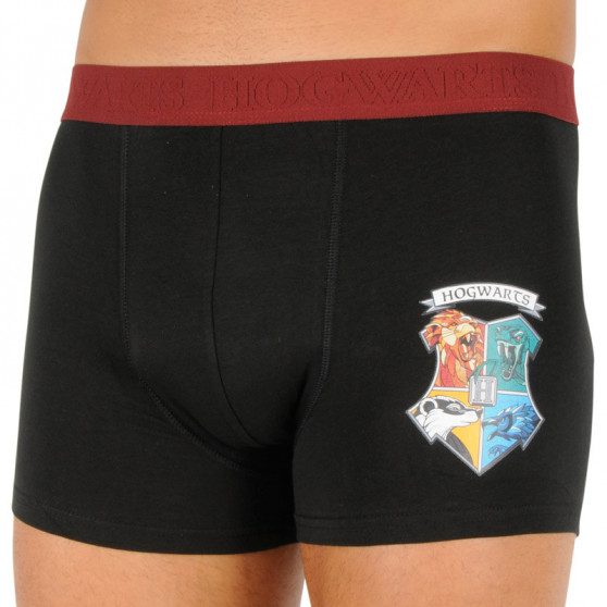 2PACK pánské boxerky Cerdá Harry Potter vícebarevné (2200007437)
