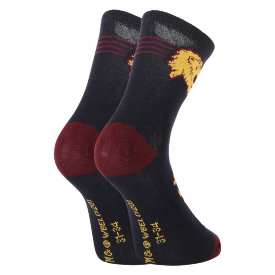 2PACK Dětské ponožky E plus M Harry Potter vícebarevné (GRYFFINDOR-A)