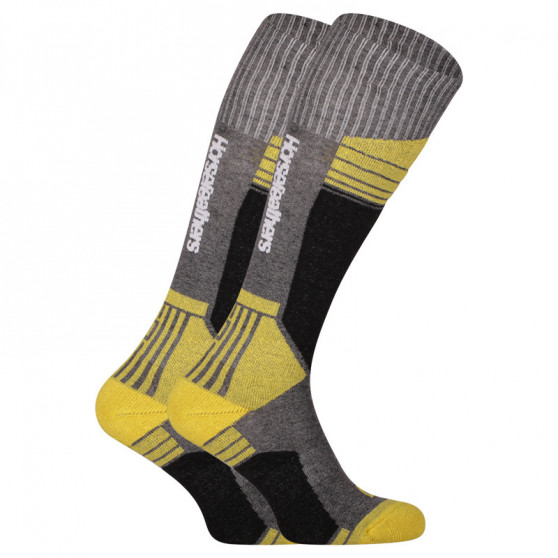 Ponožky Horsefeathers Arlo vícebarevné (AM130A)