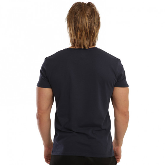 2PACK pánské tričko Gant modré/bílé (901002108-109)