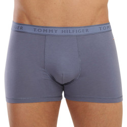 Pánské boxerky Tommy Hilfiger modré (UM0UM02333 C4Q)