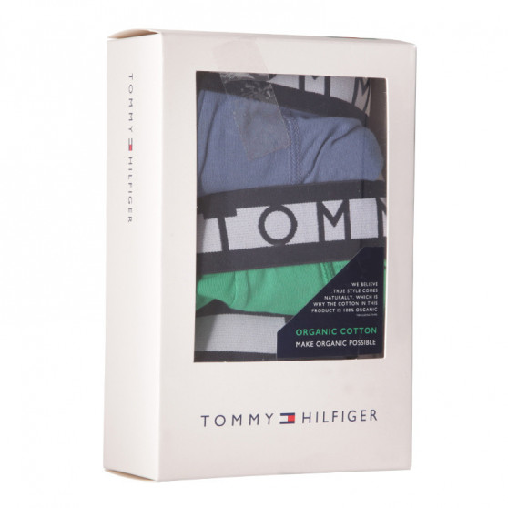 3PACK pánské boxerky Tommy Hilfiger vícebarevné (UM0UM02202 0RX)