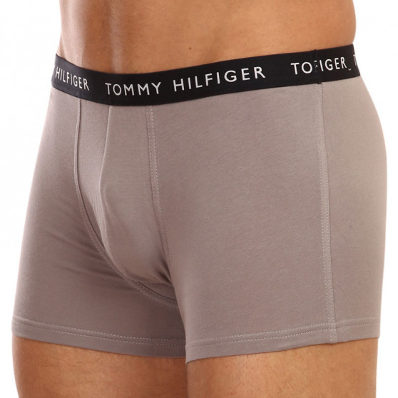 3PACK pánské boxerky Tommy Hilfiger vícebarevné (UM0UM02203 0SK)