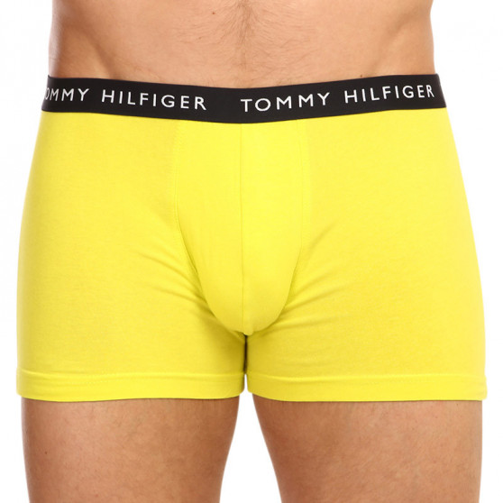 3PACK pánské boxerky Tommy Hilfiger vícebarevné (UM0UM02203 0S1)