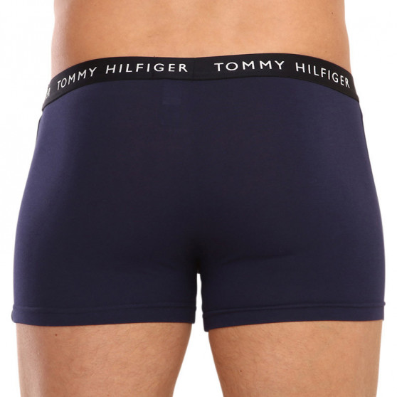 3PACK pánské boxerky Tommy Hilfiger vícebarevné (UM0UM02203 0S1)