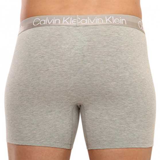 3PACK pánské boxerky Calvin Klein vícebarevné (NB2971A-1RM)