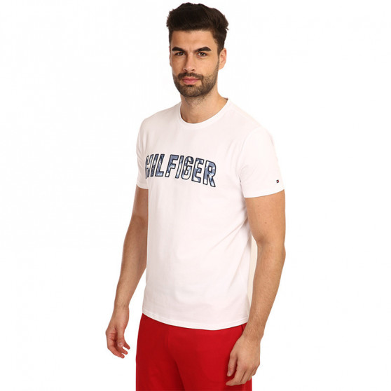 Pánské tričko Tommy Hilfiger vícebarevné (UM0UM02436 YBR)
